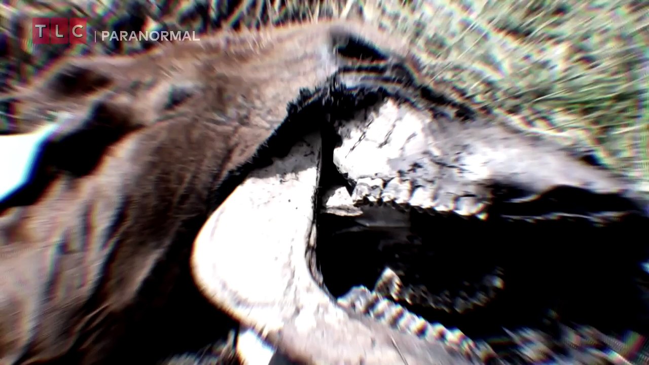 Quel lien entre OVNI, ARMÉE et OCEAN  👽 Alien Highway