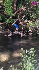 182. Oh, no, your phone! 📱# shorts #tree #river #climb #fail #humor