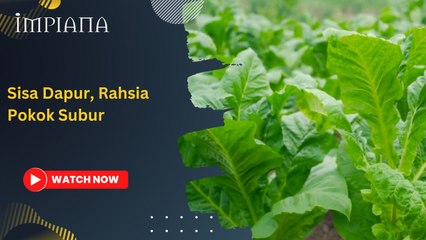Sisa Dapur, Rahsia Pokok Subur