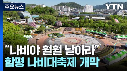 "나비야 훨훨 날아라"...함평 나비대축제 개막 / YTN