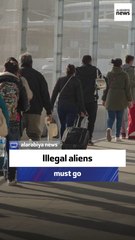 Sarah Palin: Illegals aliens must go