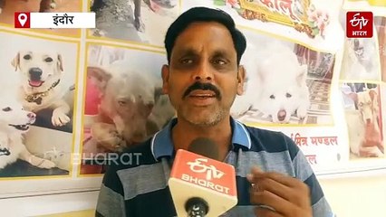 स्ट्रीट डॉग की अनोखी तेरहवीं, कालू के लिए लोग कराएंगे मुंडन, पनीर-जलेबी का होगा भोज