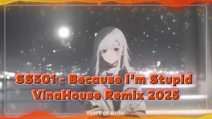 SS501 - Because I'm Stupid VinaHouse Remix 2025 By HARUMSLOT