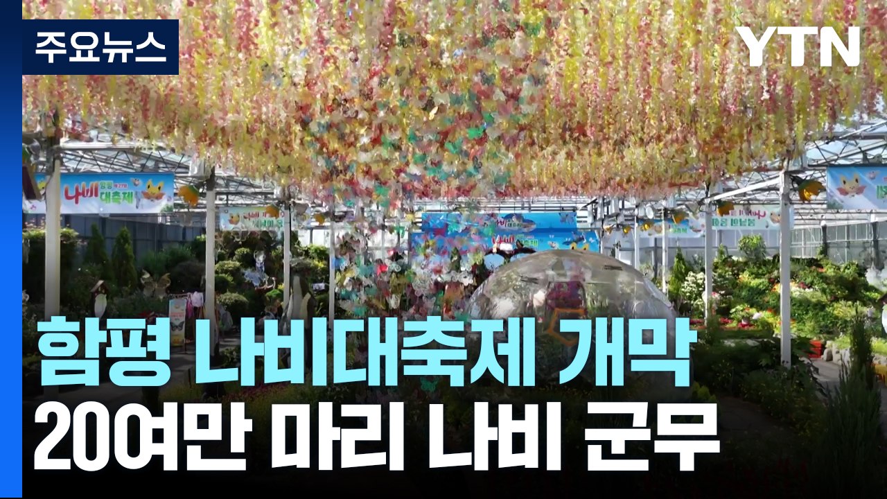 아름다운 날갯짓...함평 가득 메운 나비·꽃의 향연 / YTN