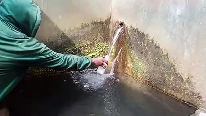 Mata air villa tidar