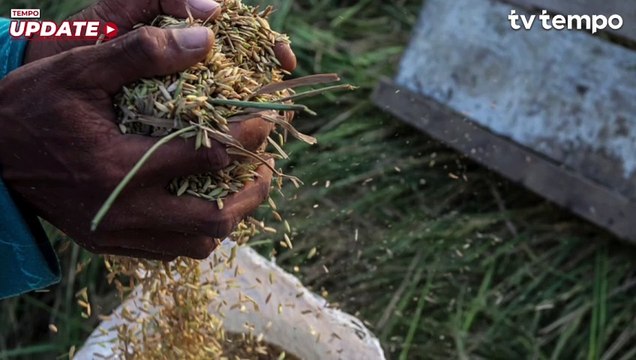 Prabowo Restui Ekspor Beras, Bapanas: Setelah Cadangan Pangan Cukup