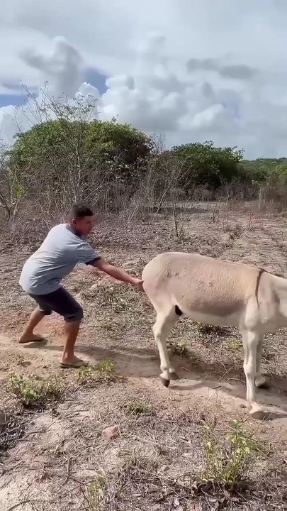 funny video 😂