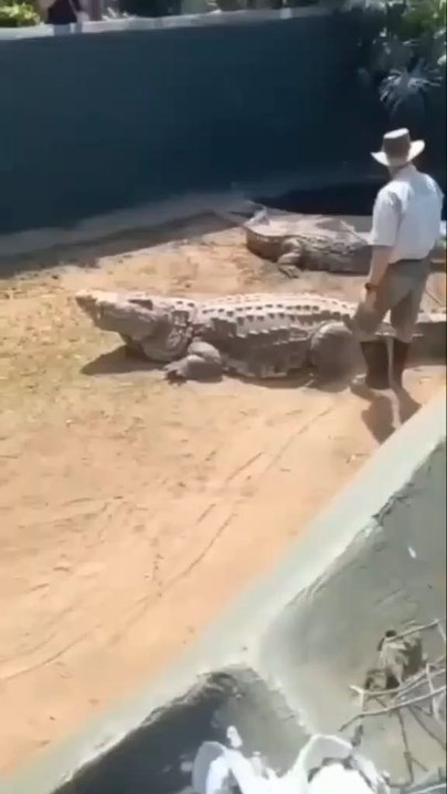 😳 short video