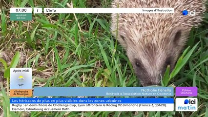 02/05/2025 - ici matin par ici Occitanie en vidéo