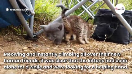 Man goes fishing but didn’t expect to come home with what he caught