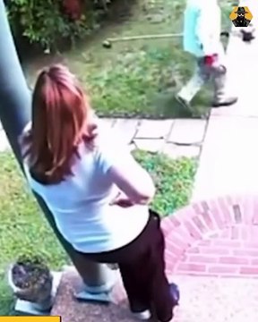 Rare and strange moments captured by chance!