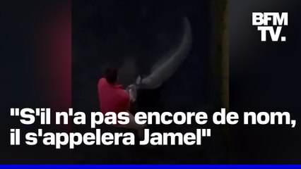 Un homme attrape un silure de 2m17 dans la Seine à Paris, sous les yeux de Jamel Debbouze