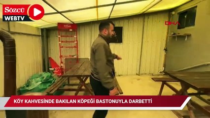 Köy kahvesinde bakılan köpeği bastonuyla darbetti; o anlar kamerada