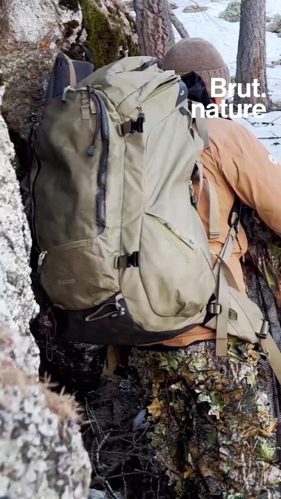 Sur la piste du loup avec Corentin Esmieu, photographe animalier