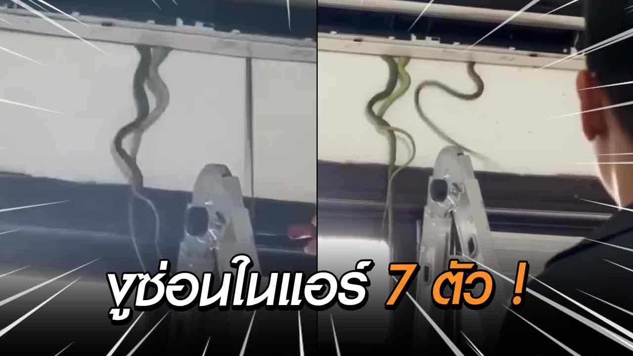 สุดสะพรึง ! งู 7 ตัวซุกในแอร์