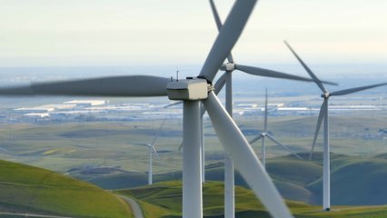 Leeds: Would you support having more wind farms if it meant lower energy bills?