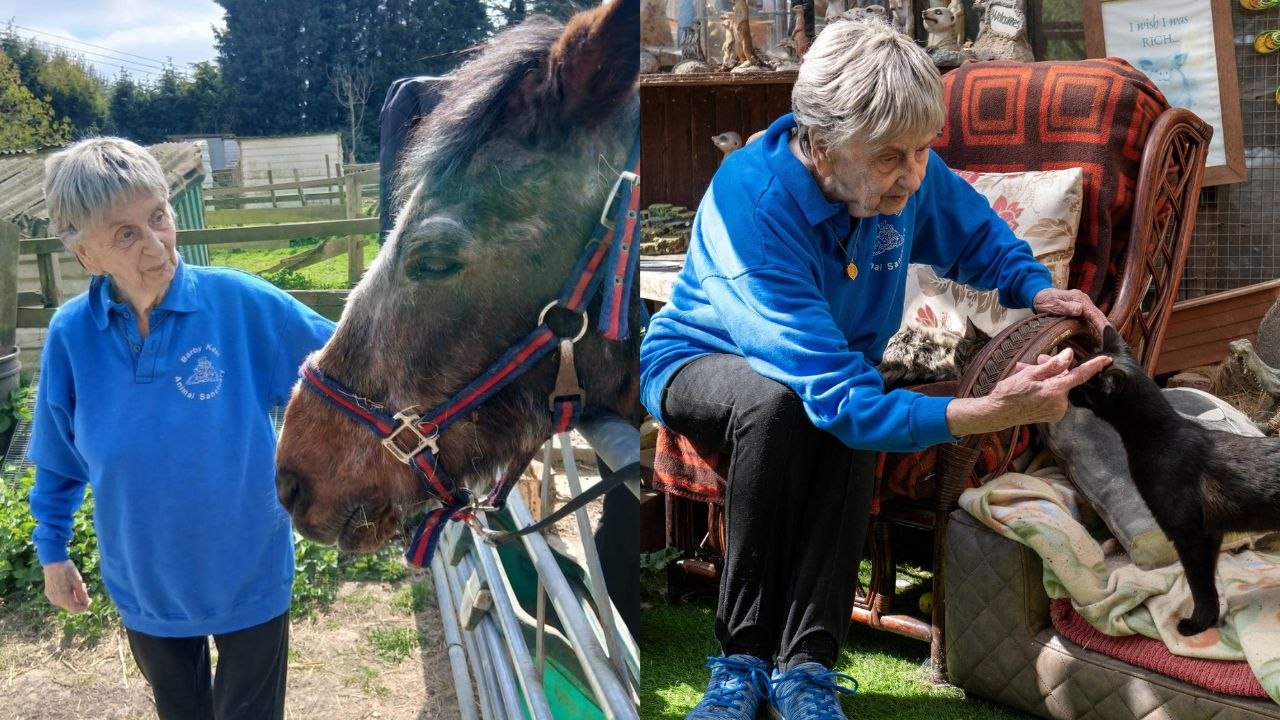 Lernen sie den 90-jährigen kennen, der über 10.000 tiere gerettet hat.
