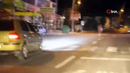 Belediyeden at ihbarı yapan vatandaşa ilginç cevap!