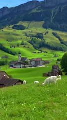 > "Har Pal, Har Rang — Sab Kuch Yahan!"