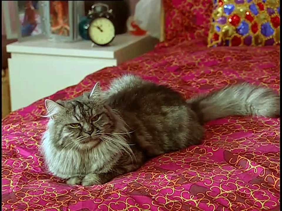 Acemi Cadı 33. Bölüm