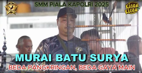 MURAI BATU SURYA LOMBA PERDANA DI SMM