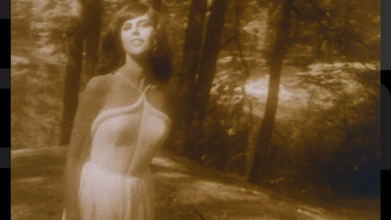 La brigade des maléfices