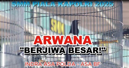 AKSI MURAI BATU ARWANA DI SMM PIALA KAPOLRI 2025