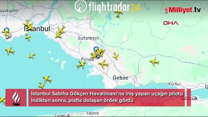 Sabiha Gökçen'de ördek alarmı! Pilot ile kule arasında ilginç diyalog