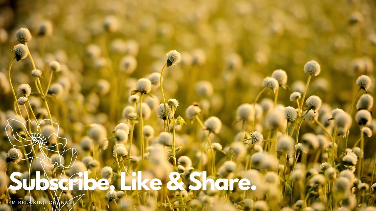 Beautiful Relaxing Music for Stress Relief ~ Calming Music ~ Meditation, Relaxation, Sleep, Spa , Stress Relief