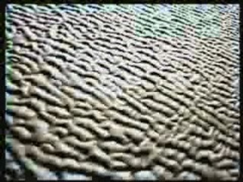 4ème partie Dernière chance pour mourir