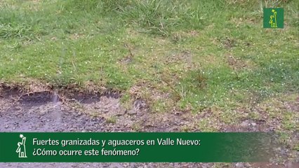 Fuertes granizadas y aguaceros en Valle Nuevo- ¿Cómo ocurre este fenómeno?