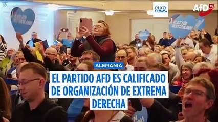 La Inteligencia alemana clasifica a Alternativa para Alemania como "extremista"