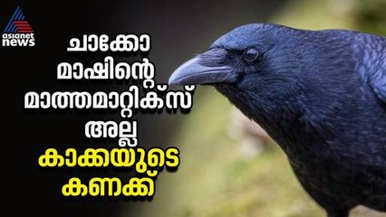 കണക്കും കാക്കയ്ക്ക് വശമുണ്ട് | Crow Experiment