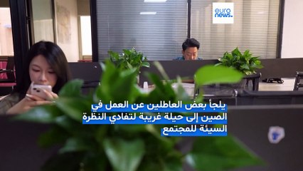 تخجل من البطالة؟ مكاتب وهمية في الصين تتيح للشباب التظاهر بالعمل خوفاً من المجتمع