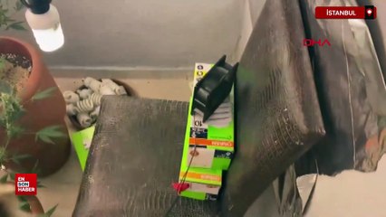 Beyoğlu'nda kiraladıkları daireye uyuşturucu serası kuran 2 şüpheli yakalandı