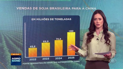 Brasil deve exportar 80 milhões de toneladas de soja para a China