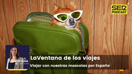 Viajes | Viajar con nuestras mascotas