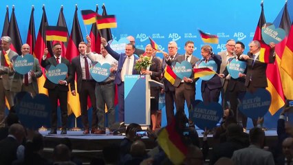 Neue Debatte um AfD-Verbotsverfahren
