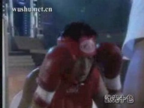 90kg+ - 1ª Copa Mundial de Sanshou (Kung Fu)