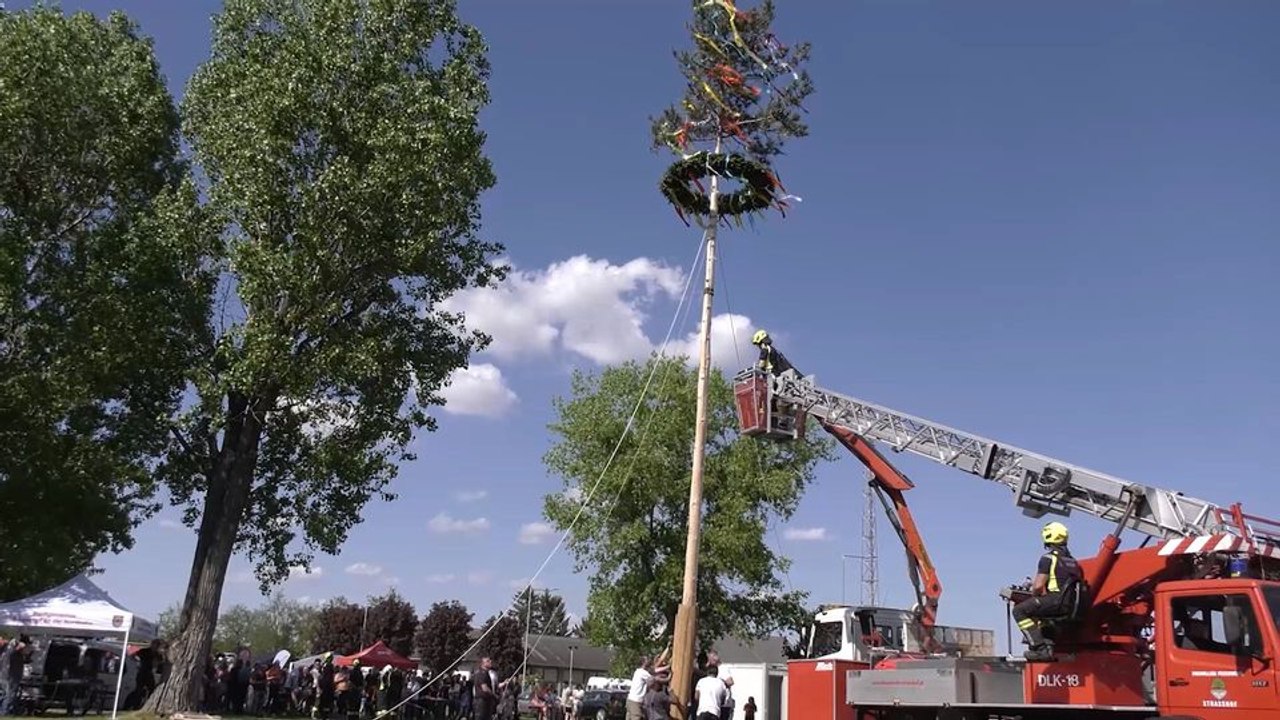 Strasshof a.d. Nordbahn:  Maibaumfest 2025