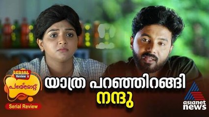നന്ദുവിനെ കാണാനെത്തി അനി - പത്തരമാറ്റ് സീരിയൽ റിവ്യൂ