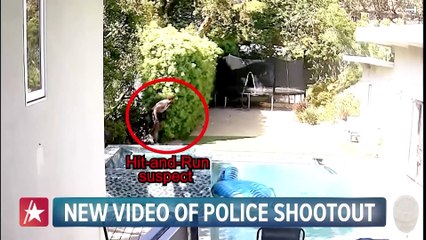 New Video Shows Police Shooting & Arresting Weezer Bassist's Wife