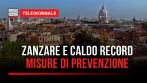 Caldo e zanzare, l’ordinanza del Campidoglio