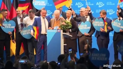 Germania, l'intelligence: "Afd è un gruppo estremista e pericoloso"
