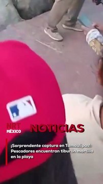 Un inusual visitante marino causó sensación en una playa de Tamaulipas. Pescadores se toparon con un pequeño tiburón martillo, una especie que no es común observar tan cerca de la costa, lo que generó un gran impacto entre los turistas y locales que prese