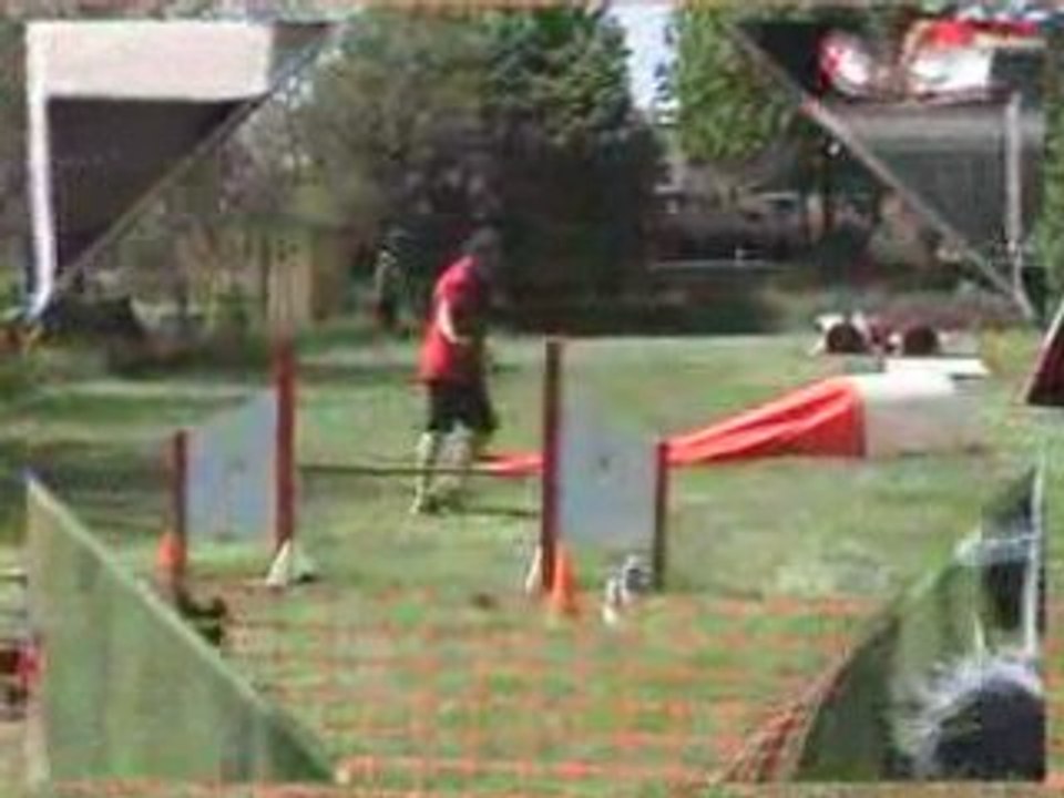 Agility (Open et G.P.F. de Solgne) avec club de Ham