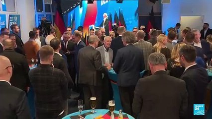 "AfD es un peligro para la democracia": servicio de espionaje alemán