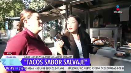 Nallely Medina desayuna tacos exóticos en Sabor Salvaje