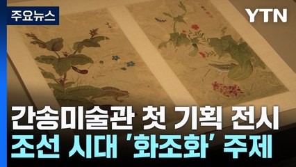 "조선 화조화 정수" 대구 간송미술관 첫 기획 전시 / YTN