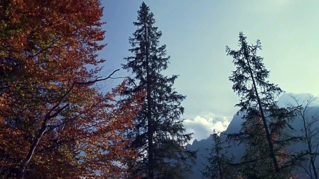 Heidi (2005)